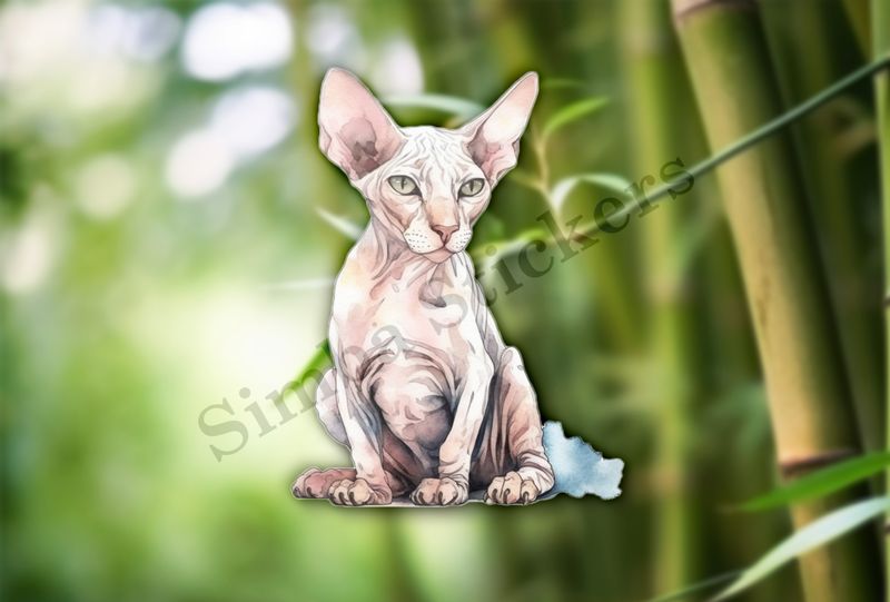 Sphynx cat sitting, watercolour