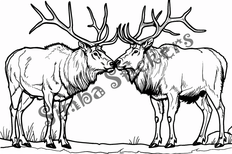 Colouring pages, bundle of elks, 10 images