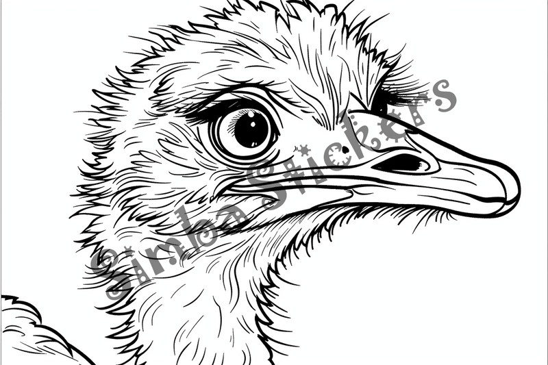 Colouring pages, bundle of ostriches, 50 images