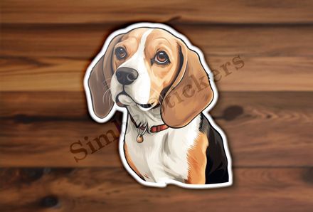 Beagle dog with collar