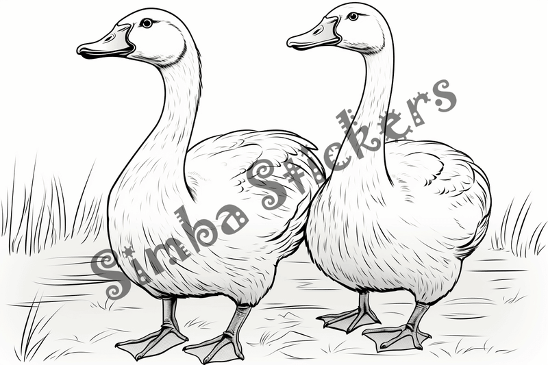 Colouring pages, bundle of geese, 25 images