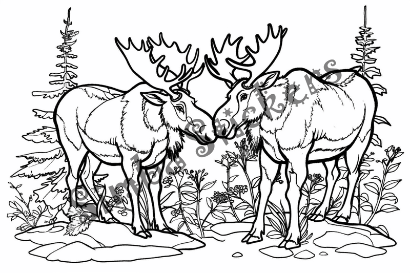 Colouring pages, Bundle of cute moose in love, 25 images