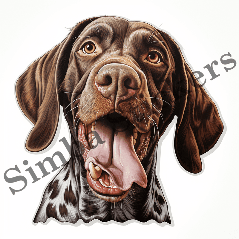 German Shorthaired Pointer dogs, image set, 10 images