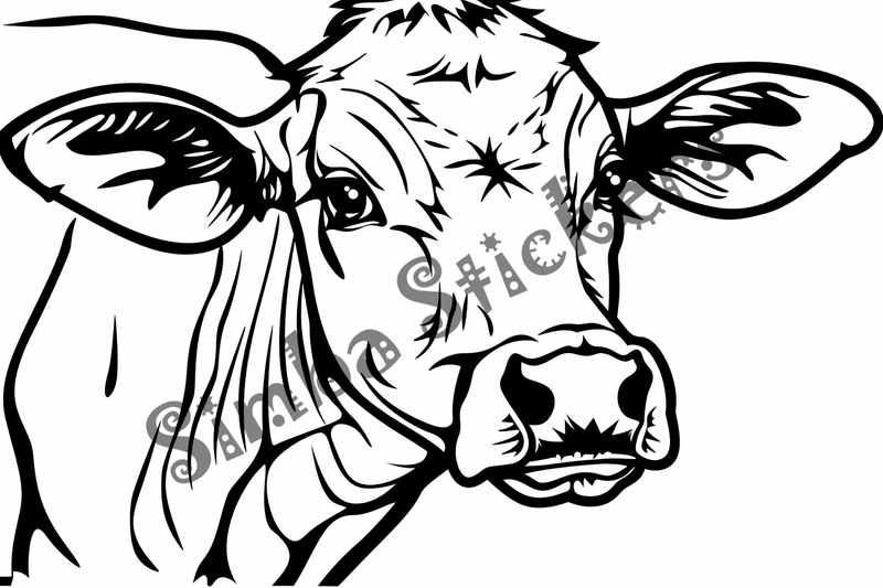 Colouring pages, bundle of cattle, 25 images