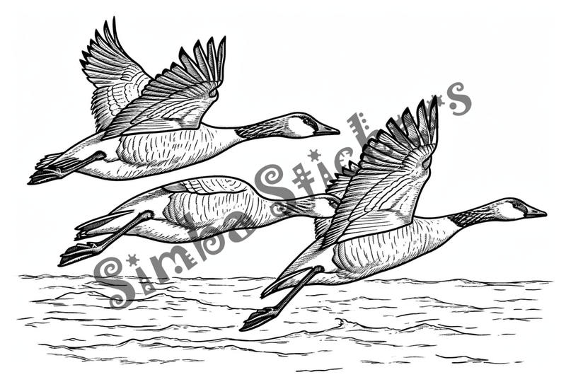 Colouring pages, bundle of geese flying, 10 images