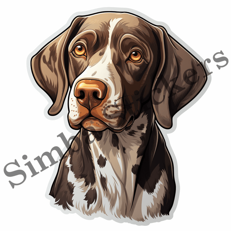 German Shorthaired Pointer dogs, image set, 10 images