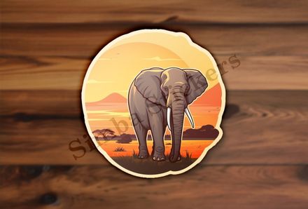 African elephant at sunrise