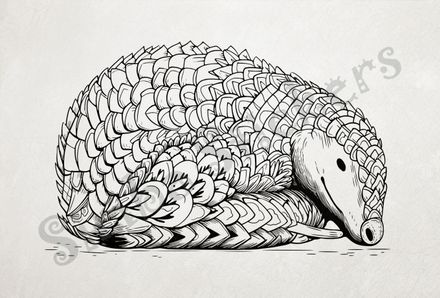Pangolin sleeping, eyes open, outline art