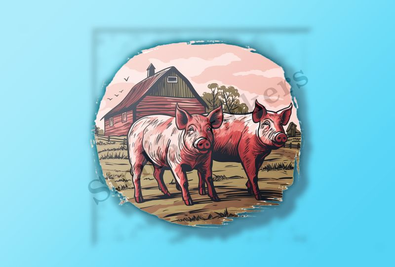Two pigs on a farm