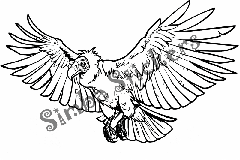 Colouring pages, bundle of  vultures flying, 10 images, c3nz5p