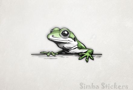 Lizard, green and white, holding on