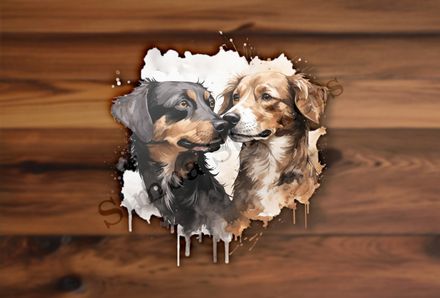 Dogs nose-to-nose