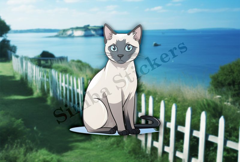 Siamese cat   