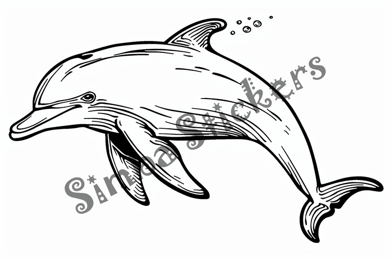 Colouring pages, bundle of singular dolphins, 10 images