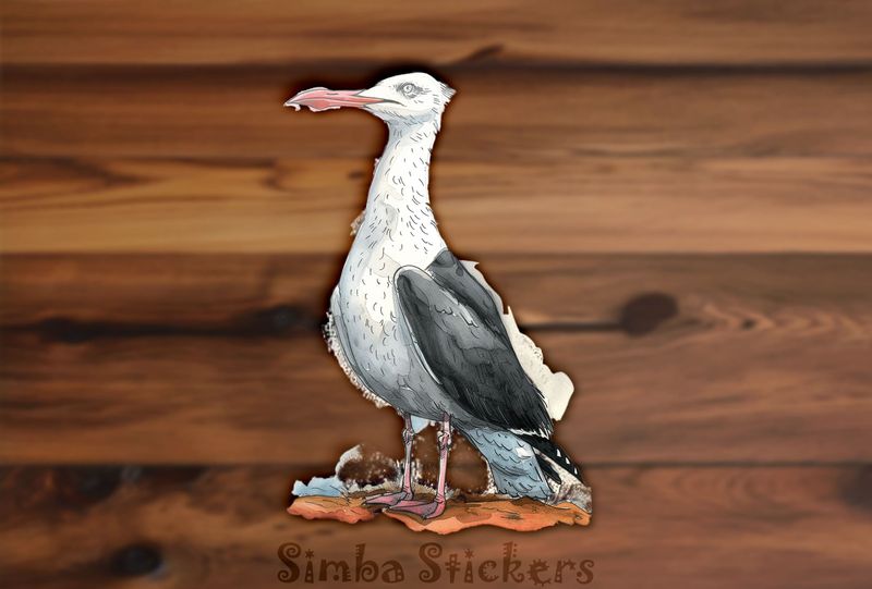 Funny-looking seagull standing on ground, watercolour, b1efmn