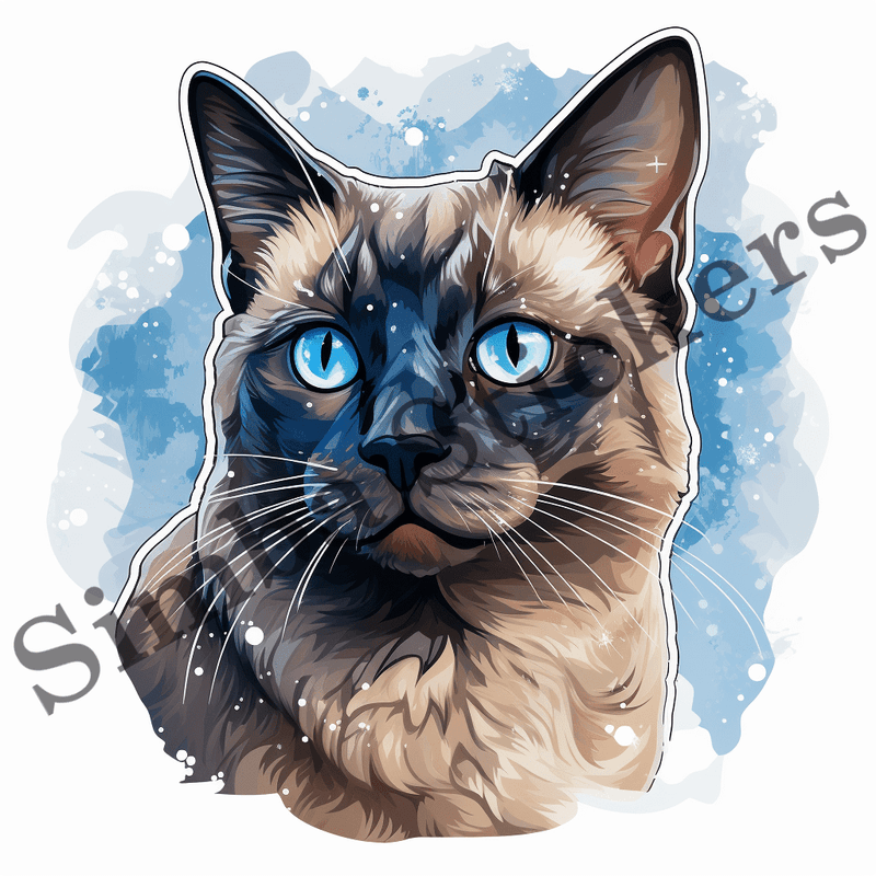 Tonkinese cats in snow, image set, 10 images