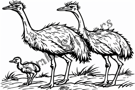 Colouring pages, bundle of ostriches, 25 images