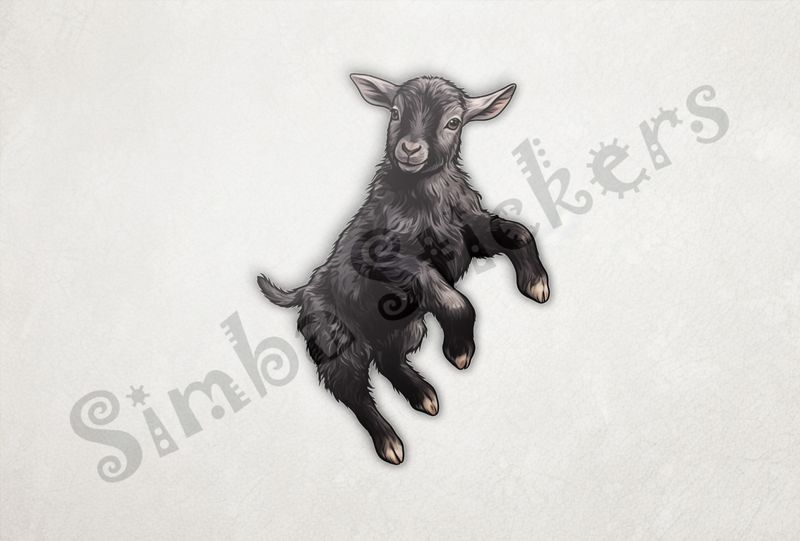 Black goat kid jumping