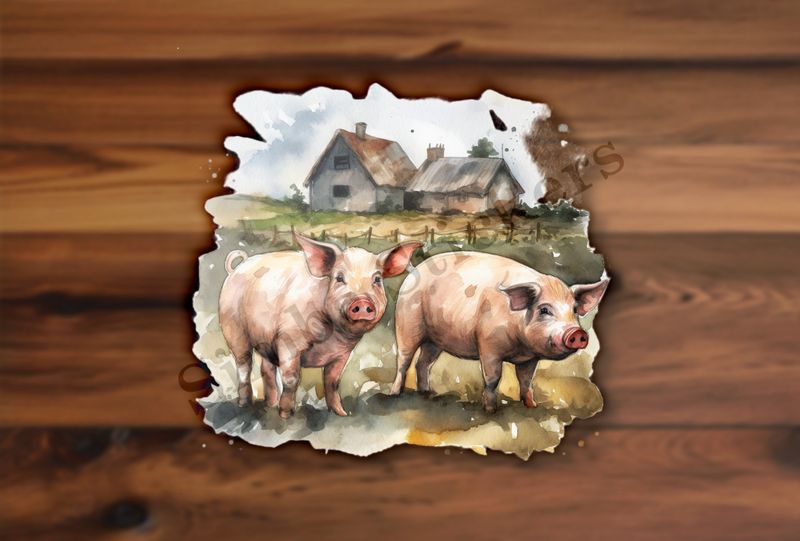 Two pigs on a farm, watercolour