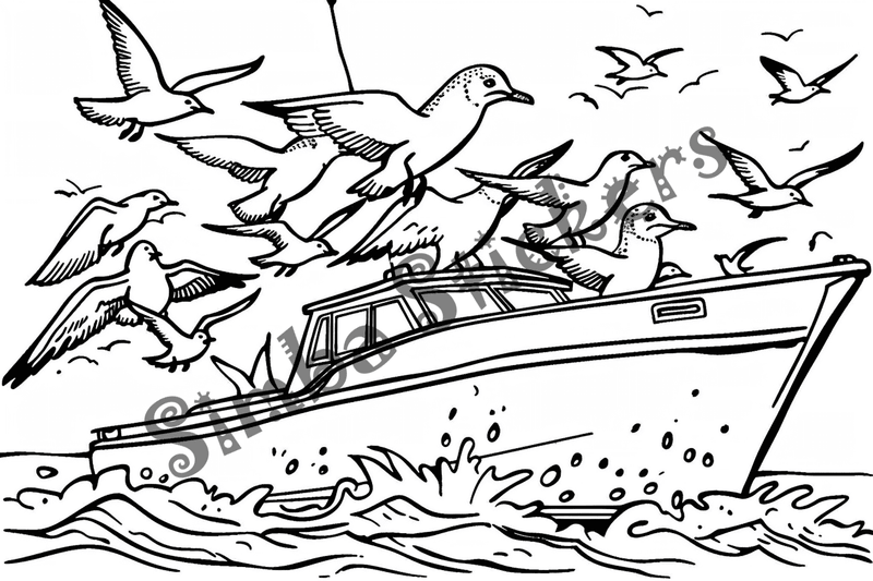 Colouring pages, bundle of seagulls, 50 images