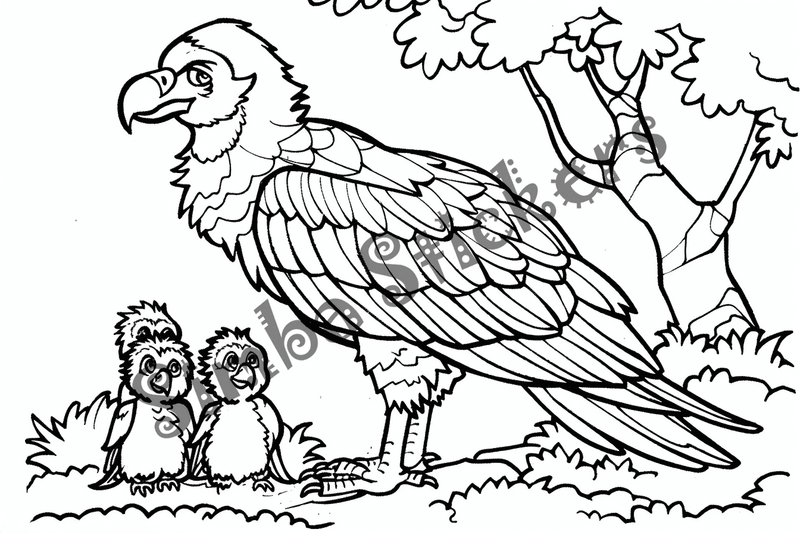 Colouring pages, bundle of vultures with chicks or eggs, 25 images, rm6krw