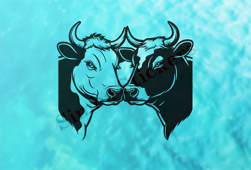 Bull and cow nose-to-nose , hearts floating above outline art