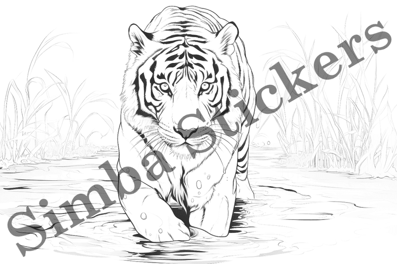 Colouring pages, bundle of tigers, 10 images