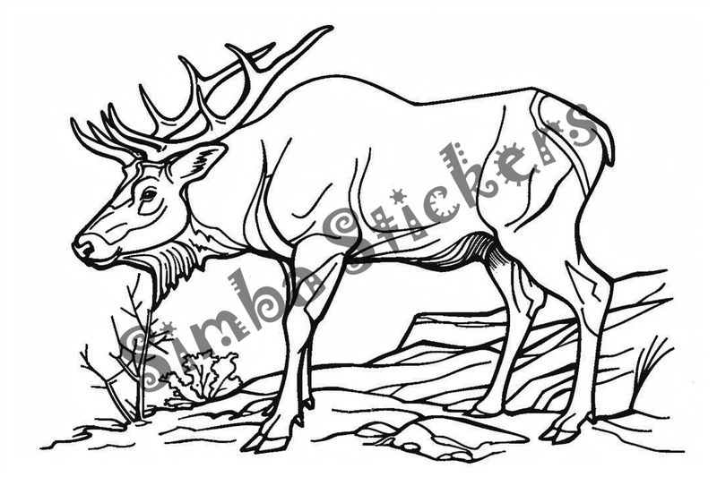 Colouring pages, bundle of elks, 25 images 2