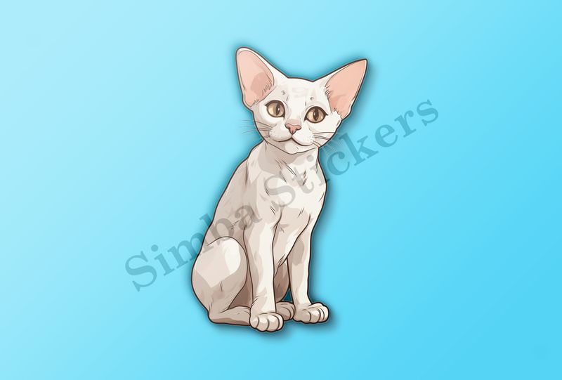 Devon Rex cat with head tilted