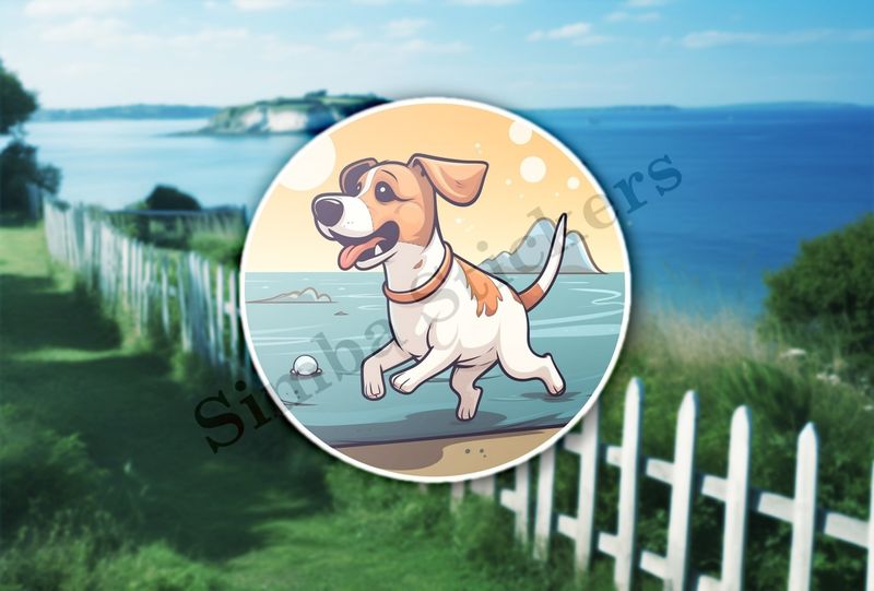 Dog on the beach