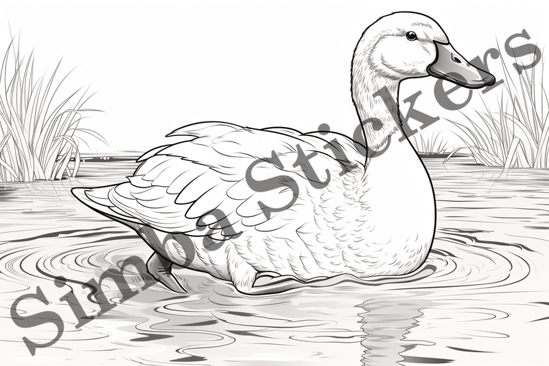Colouring pages, Bundle of ducks, 10 images