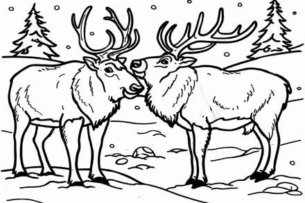 Colouring pages, bundle of elks, 10 images