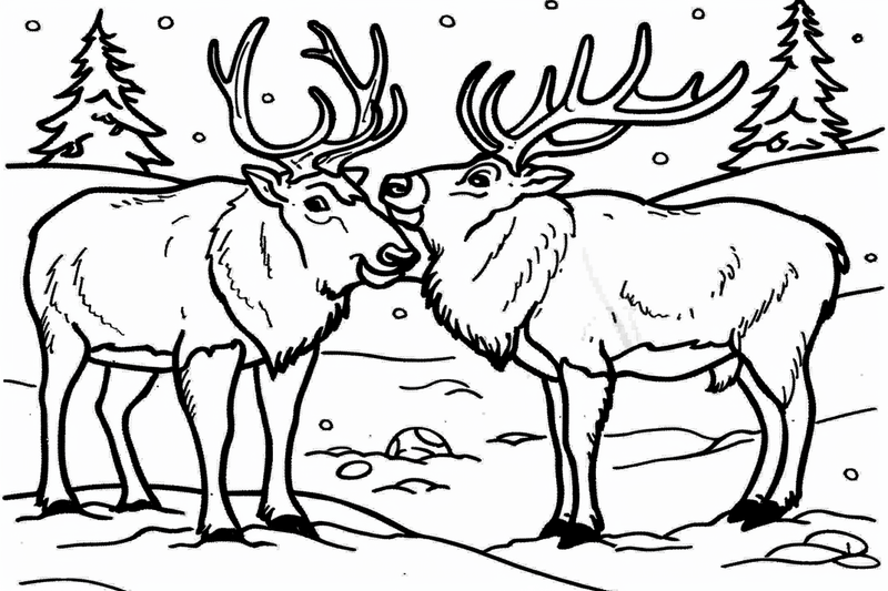 Colouring pages, bundle of elks, 10 images
