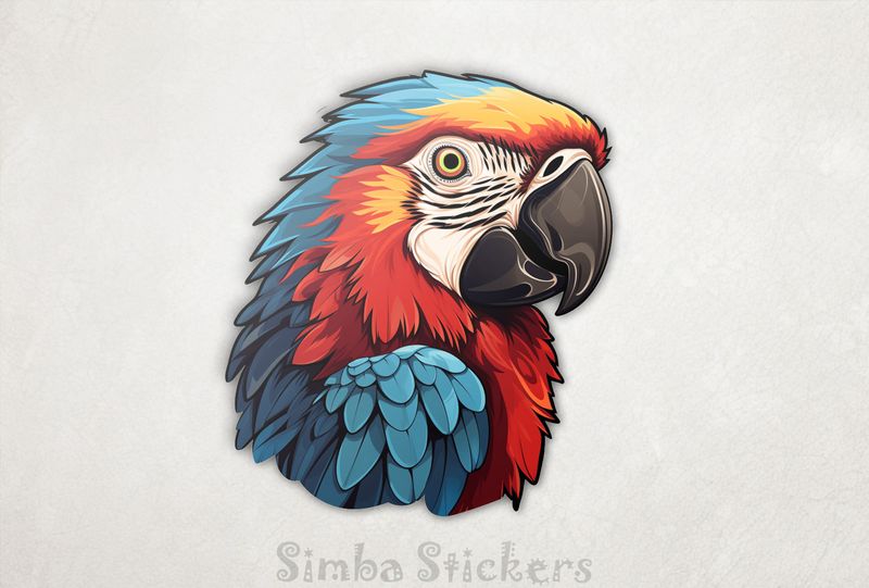 Colourful parrot with black beak, egjhyy