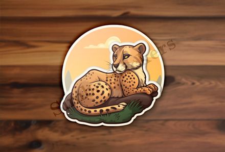 Young cheetah on a rock