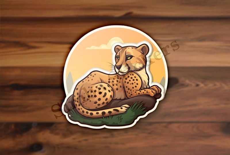 Young cheetah on a rock