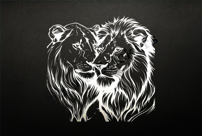 Lion and lioness cheek-to-cheek, romantic, outline art