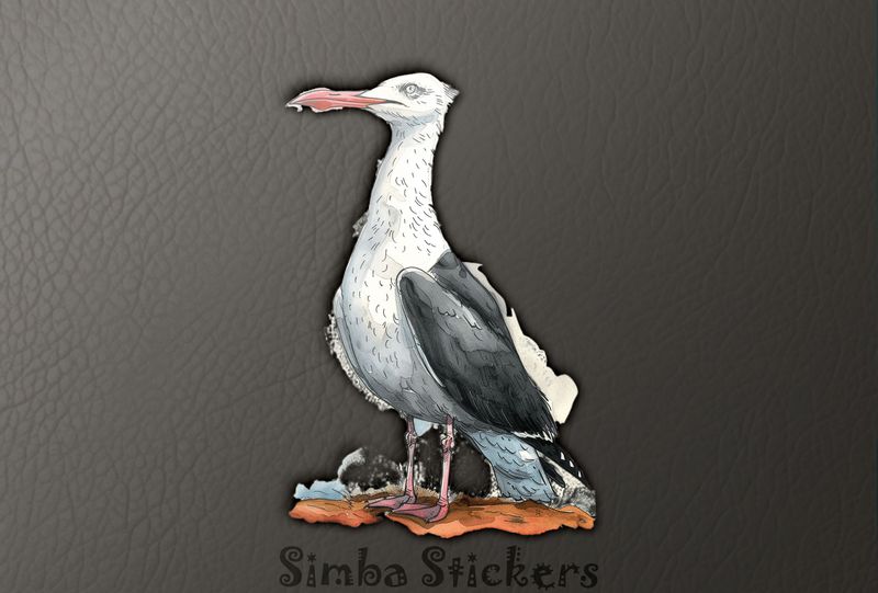 Funny-looking seagull standing on ground, watercolour, b1efmn