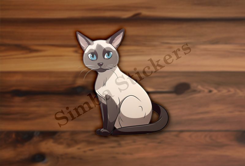 Siamese cat sitting