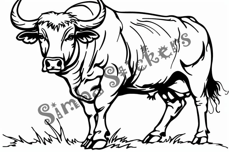 Colouring pages, bundle of cattle bulls, 10 images