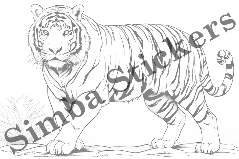 Colouring pages, bundle of tigers, 25 images