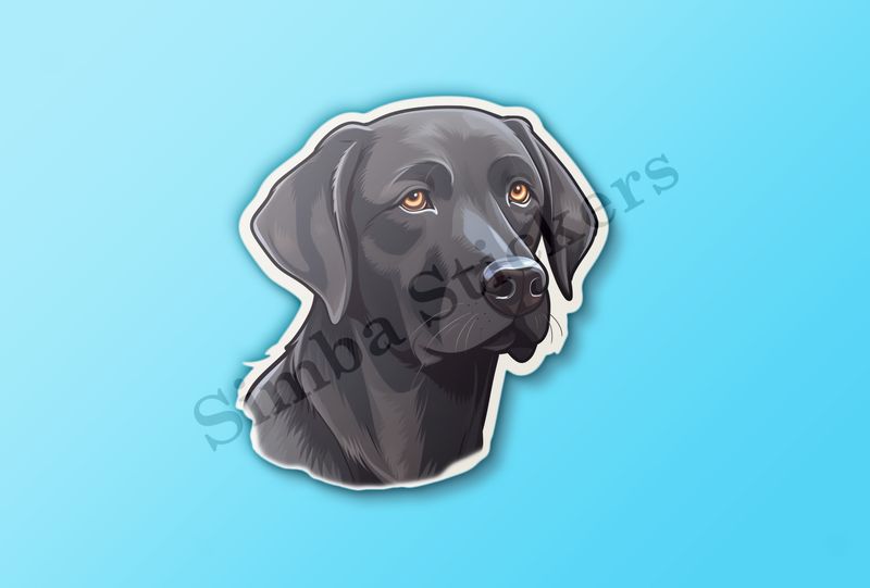 Black labrador dog face