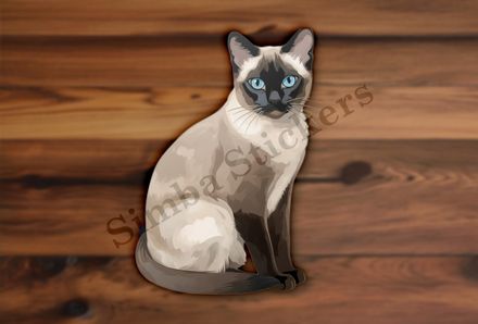 Siamese cat sitting