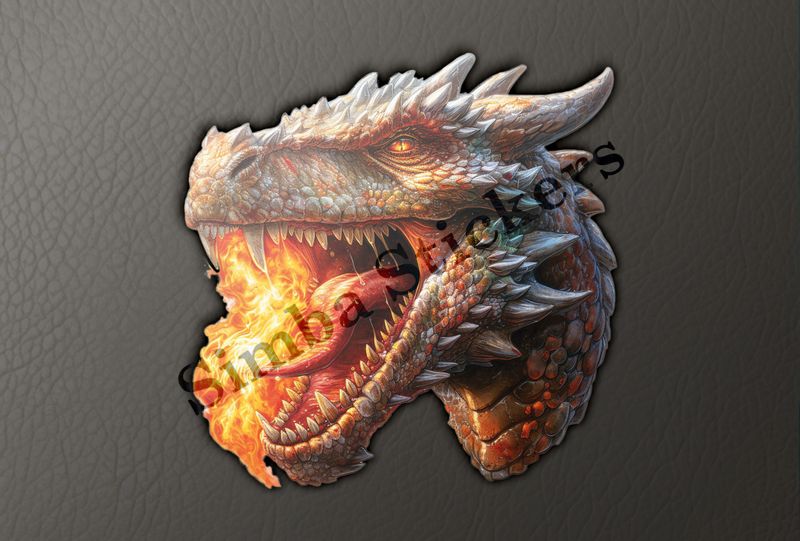 Dragon head, full of fire in mouth