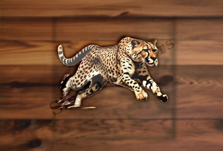Cheetah running, cfct36
