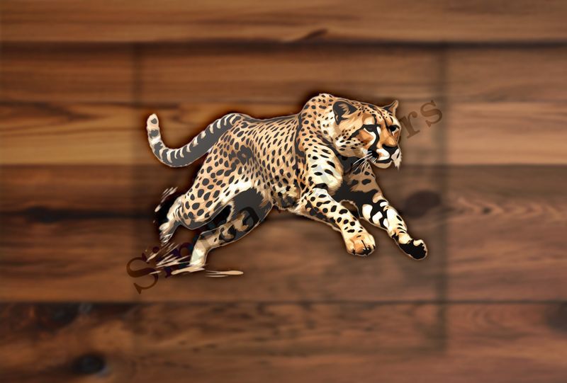 Cheetah running, cfct36