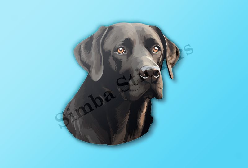 Black labrador dog face slightly turned