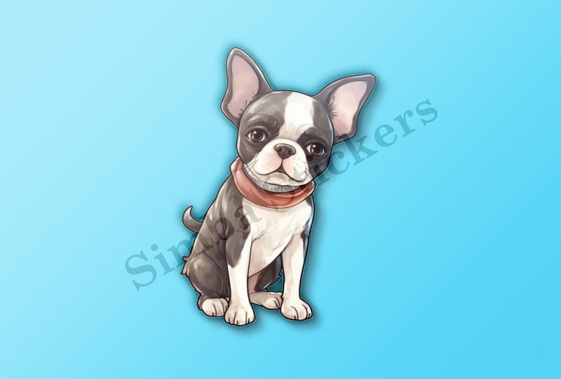 Boston Terrier dog with scarf, watercolour