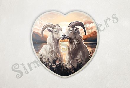 White goats nose-to-nose in love, sunset in background