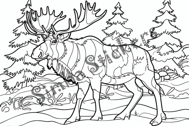 Colouring pages, Bundle of moose, 50 images